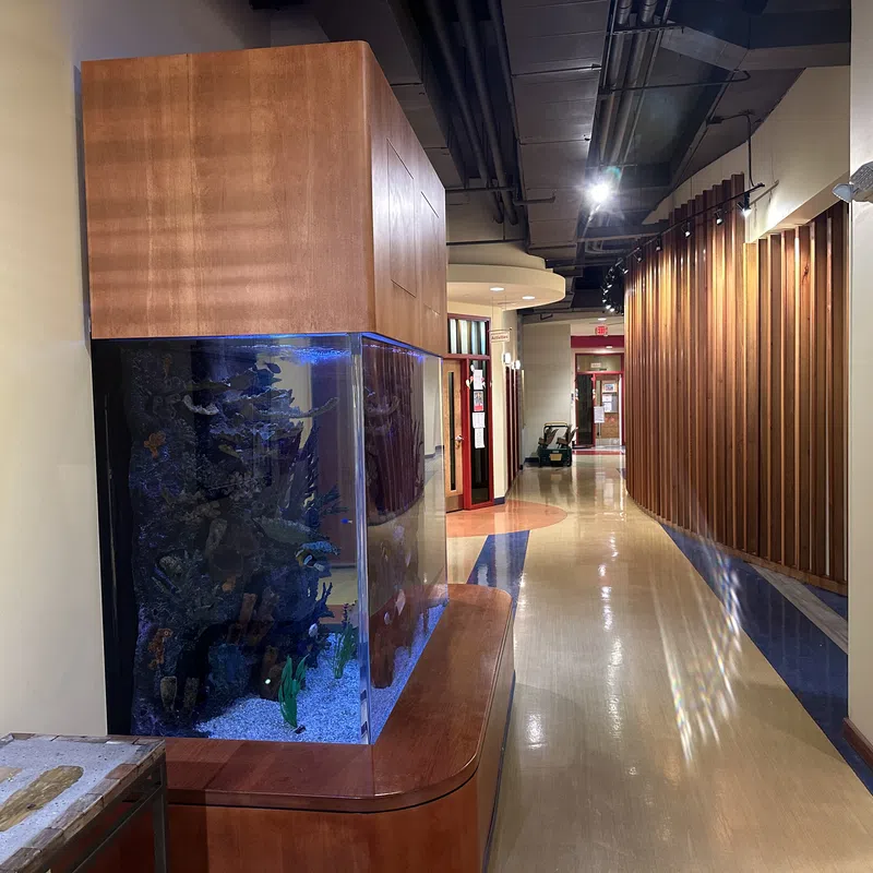 Modern hallway with wooden paneling and a large built-in aquarium filled with coral and fish.