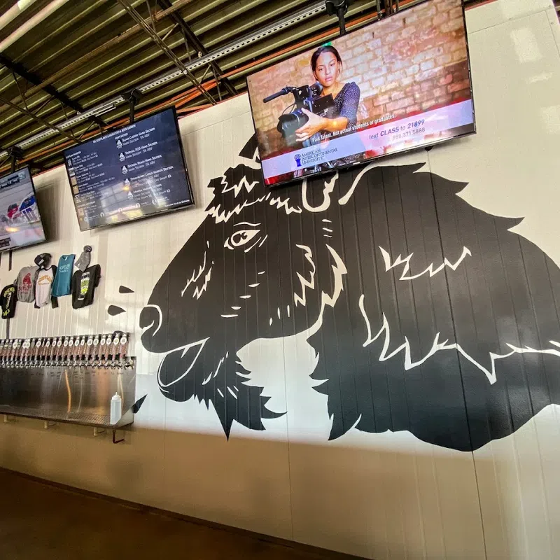 Interior of brewery with large black bison mural, multiple beer taps, TV screens, and merchandise on display.