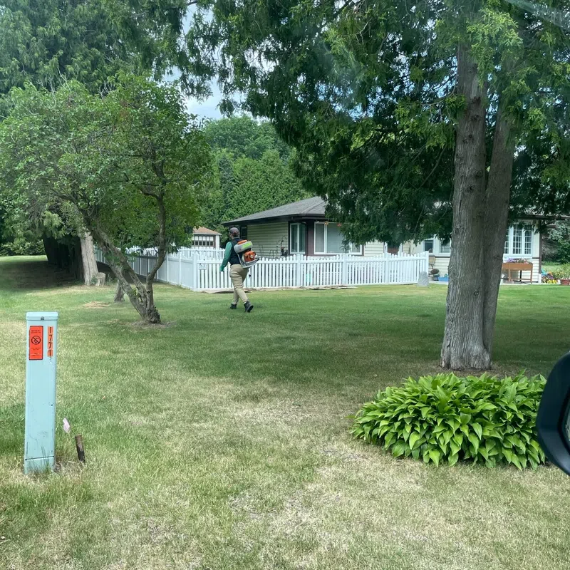 Person walking on grass near white fence in a suburban backyard with trees and a small garden bed.