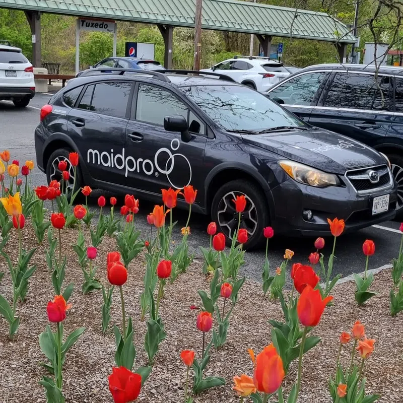 Black MaidPro branded car parked near vibrant red and orange tulips with a green roof shelter in the background.