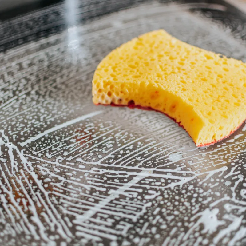 a sponge on a table