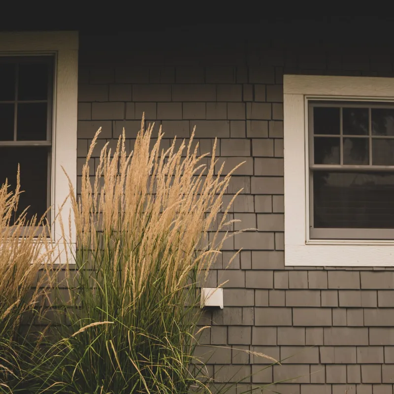 a building with windows and tall grass