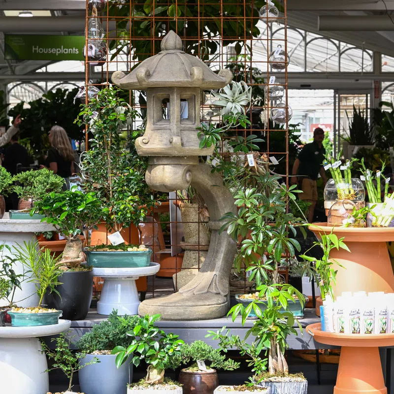 Indoor garden center display with bonsai trees, potted plants, and a decorative stone lantern under greenhouse lighting