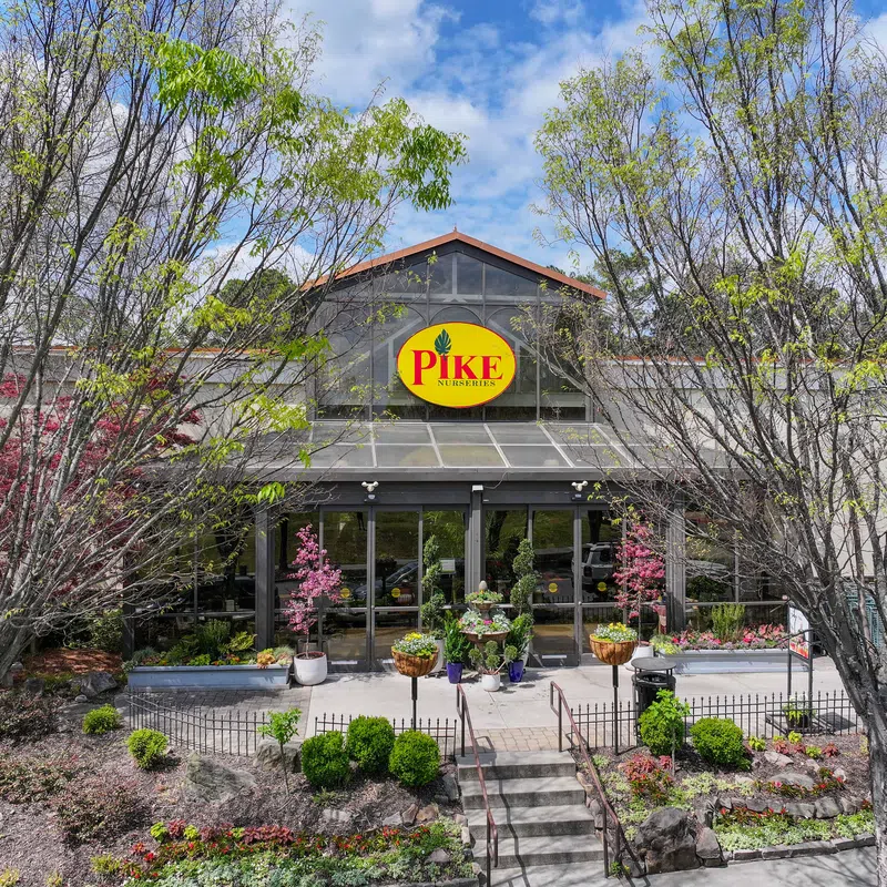 Front entrance of Pike Nurseries with glass doors, landscaping, and trees under a partly cloudy sky.