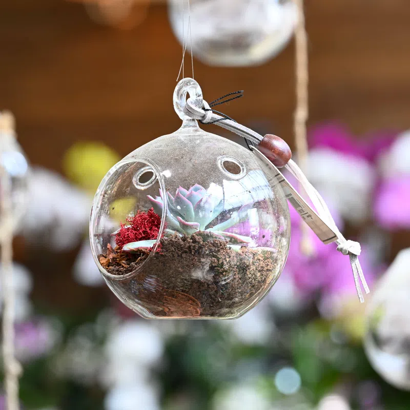 Clear glass terrarium ball with succulent and soil hanging with blurred flowers in the background