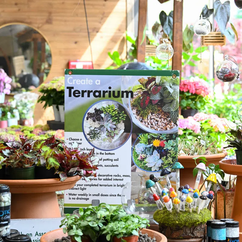 Indoor display of terrarium plants, pots, hanging glass orbs, and a sign with terrarium creation instructions.