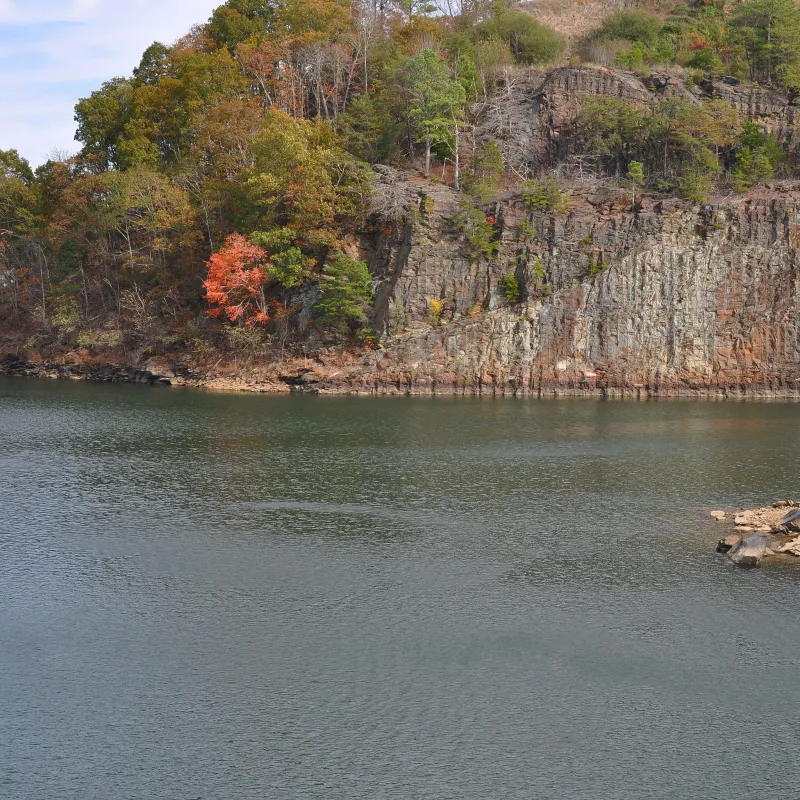 a body of water with trees on the side