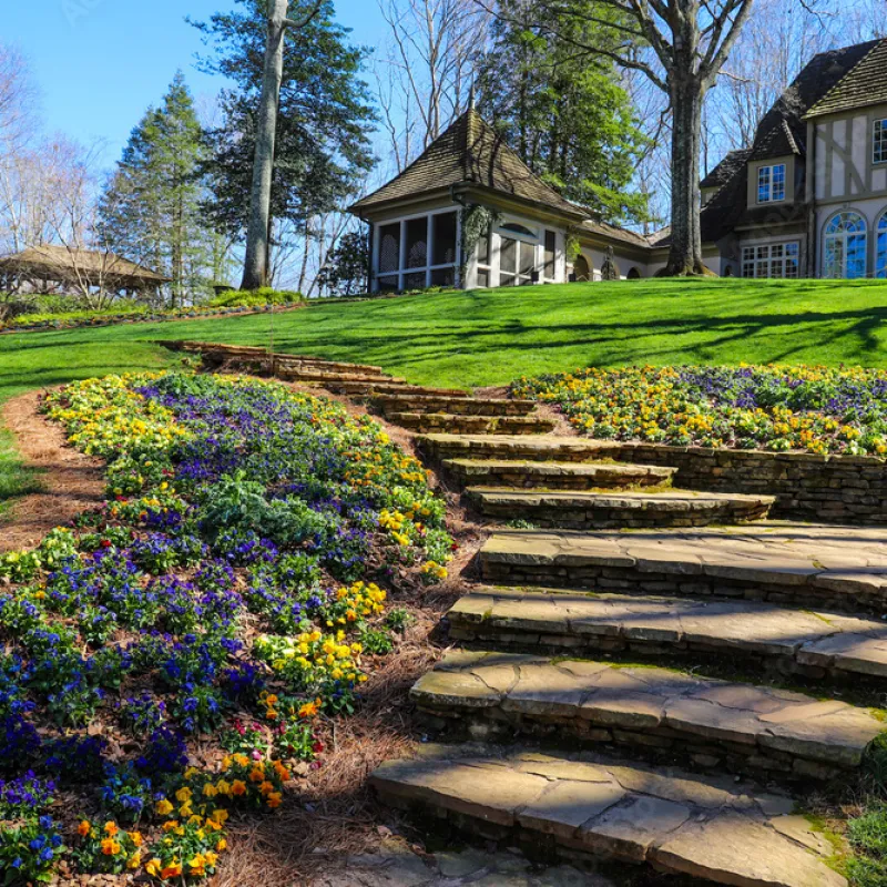 a garden with a house in the background