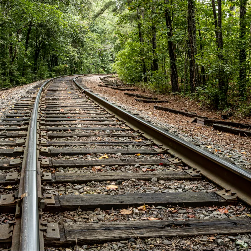 train tracks in the woods