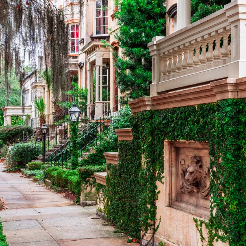 a path with plants and a building