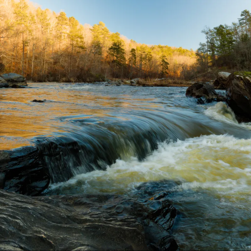 a river with rocks and trees