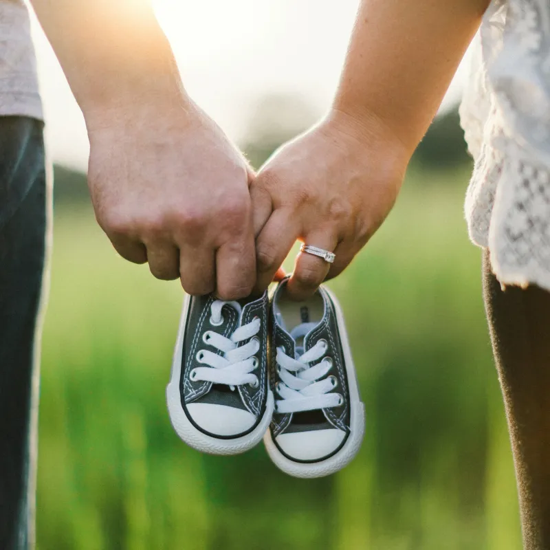 a pair of hands holding a shoe