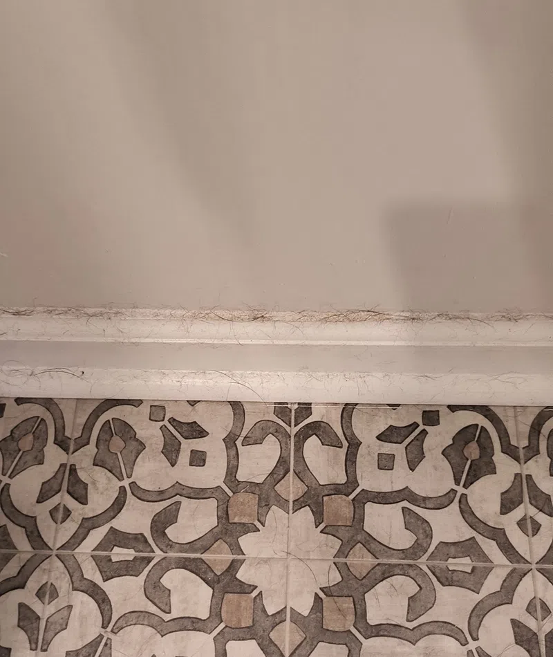 dirty baseboards in a home in Hendersonville Tennessee