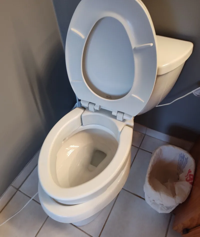 toilet cleaned by house cleaning professionals MaidPro Orland Park