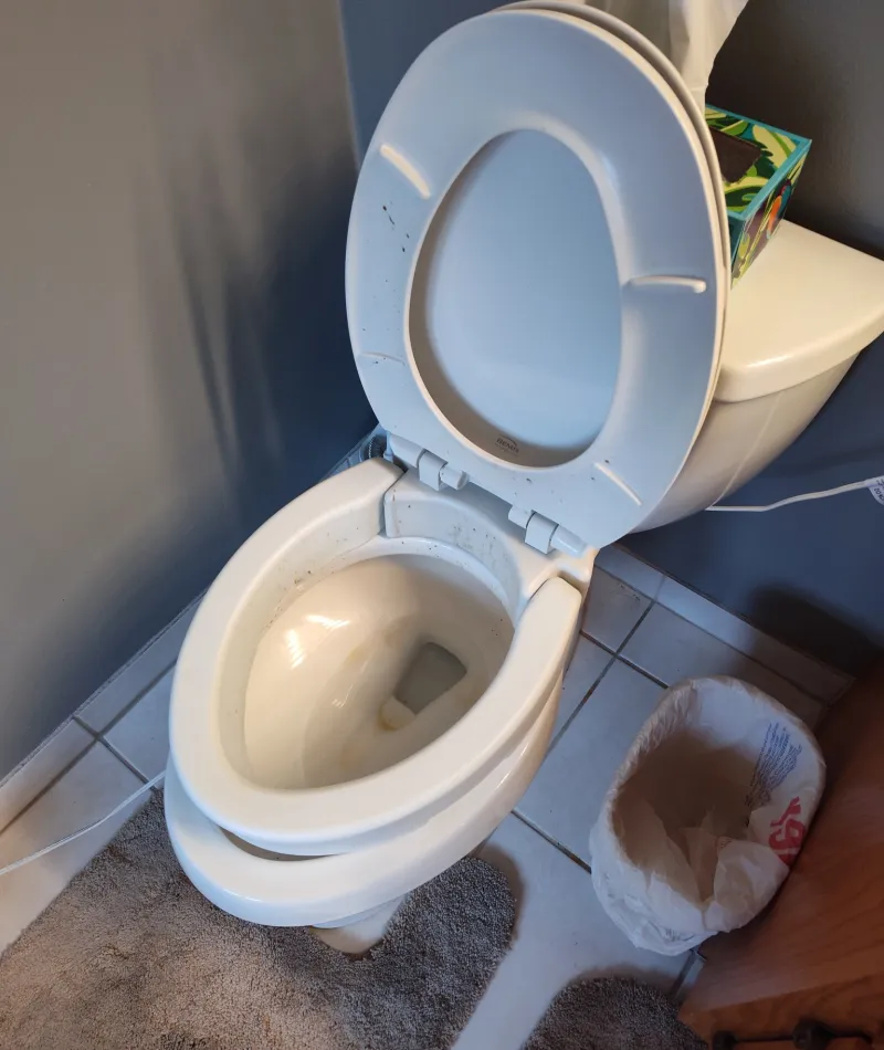 Dirty toilet seat in Orland Park