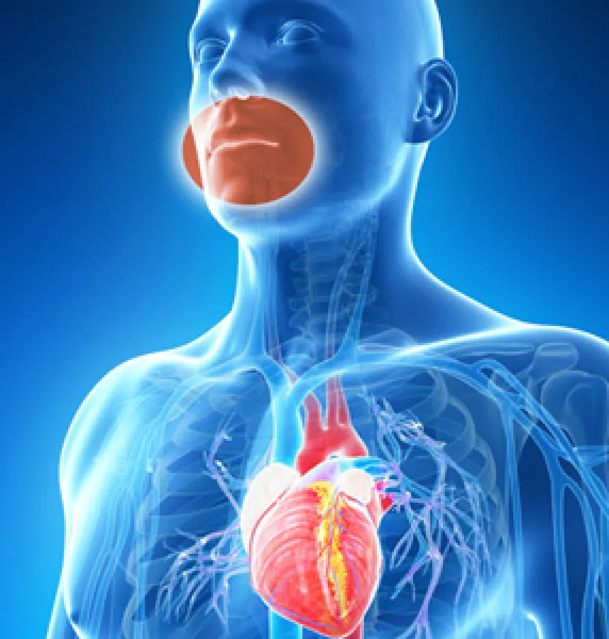 Inflammation: the Link Between Gum Disease and Cardiovascular Disease
