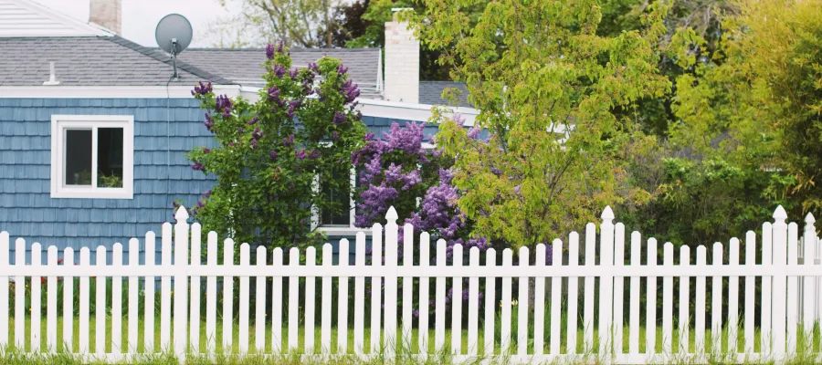 Charming residential scene featuring a white picket fence, blooming lilac bushes, and a cozy blue house.