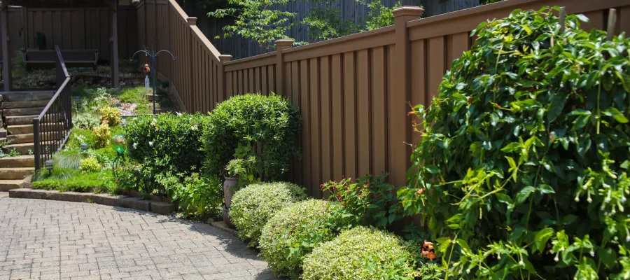 Curved stone pathway bordered by green shrubs and a brown wooden fence in a sunny garden area.