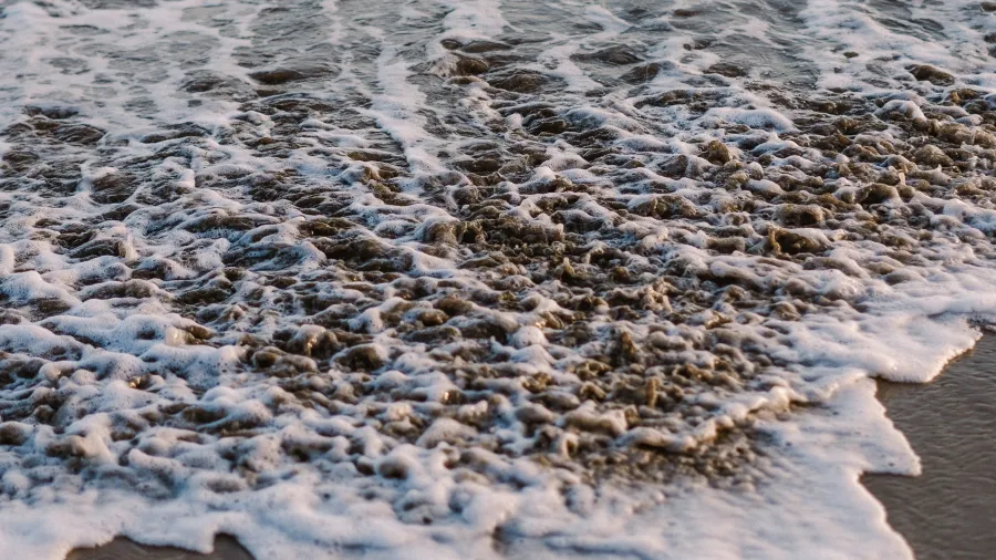 Housing Peebles Kidder