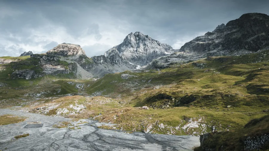 Housing Peebles Kidder