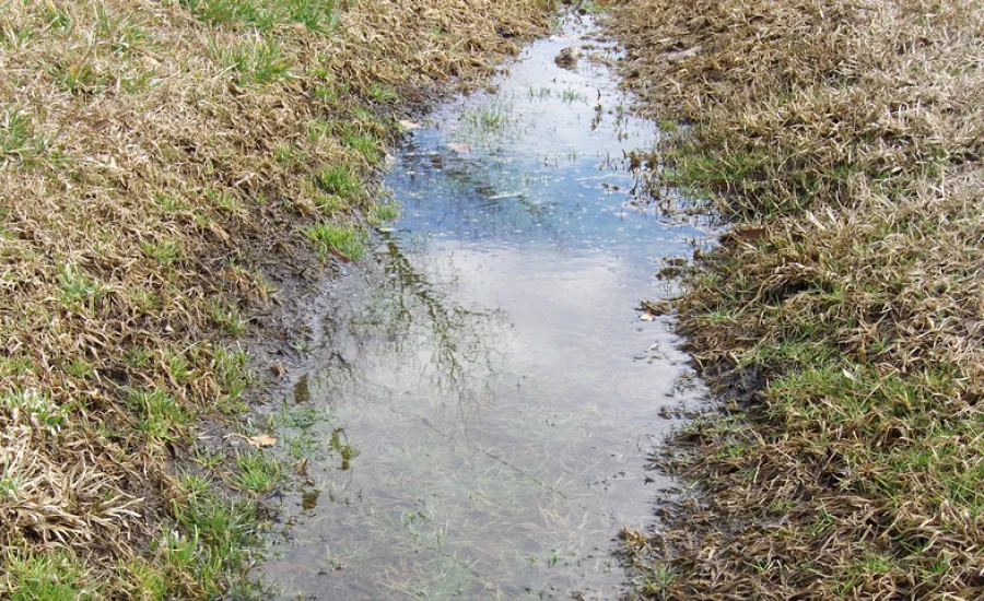 Where Does Standing Water Come From? The Pink Plumber