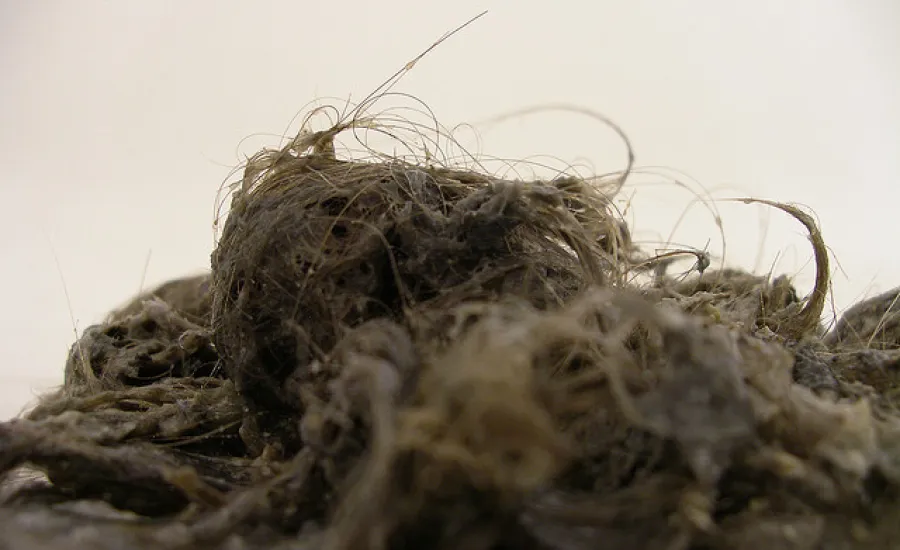 Take Care of Hair in Drain Pipes before It's Too Late The Pink Plumber