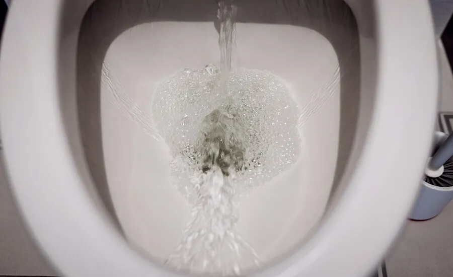 The Hidden Dangers of Ignoring a Clogged Toilet