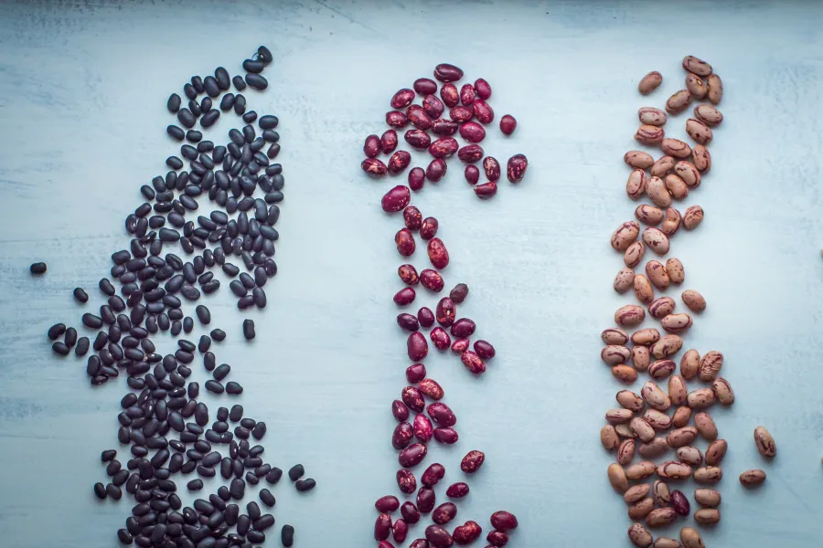 a close up of a green plant