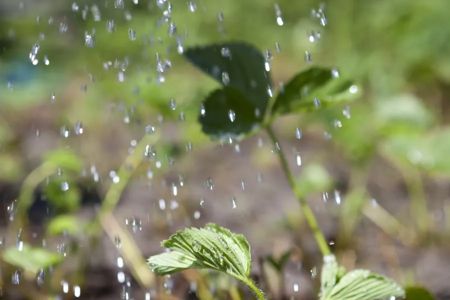 an image involving nature water sitting