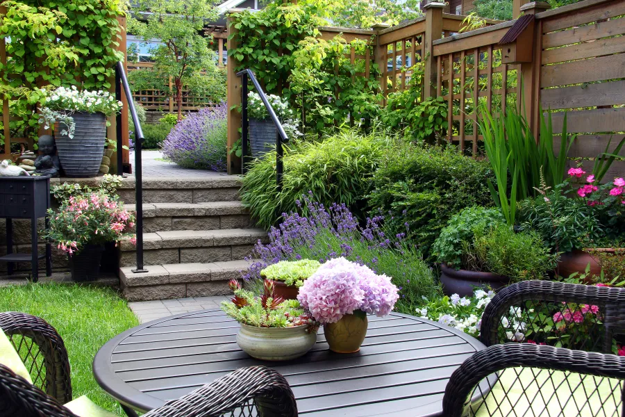 a patio with potted plants