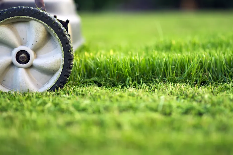 moving lawn