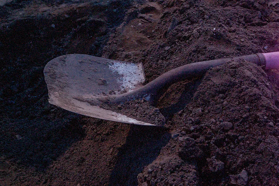 Amend soil with Dr. Earth Home Grown Vegetable Garden Planting Mix