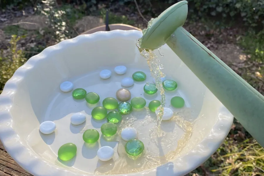 water into a birdbath