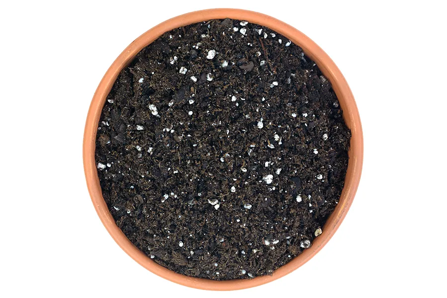 soil in pot