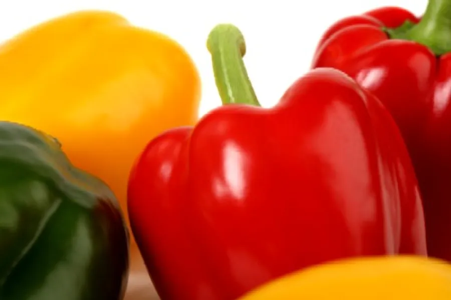 Belle peppers from the garden