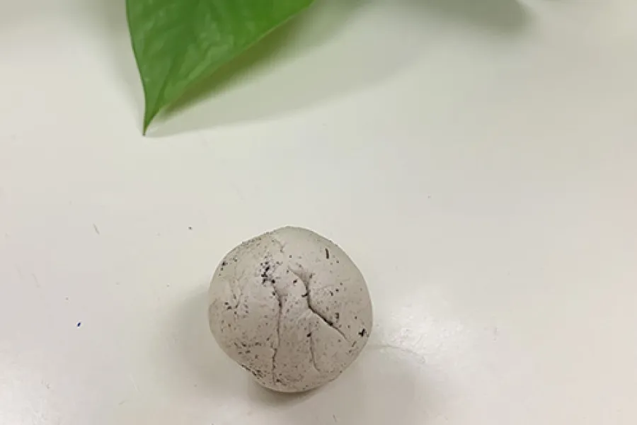 clay rolled into a ball with soil and seeds inside