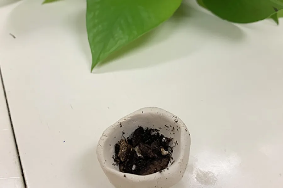 clay ball in the shape of a bowl with soil