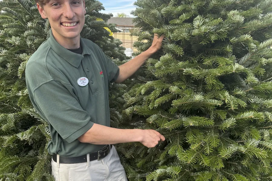 a man holding a tree