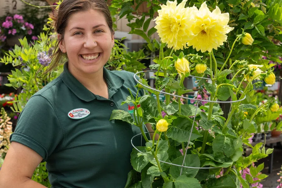 Smiling female gardener holding a potted yellow flowering plant in a lush garden center setting