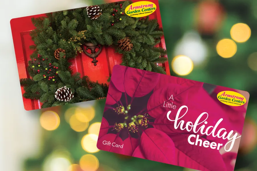 Holiday-themed Armstrong Garden Centers gift cards featuring wreath and poinsettia designs with festive background lights.