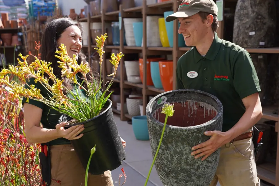 Two gardeners carrying large potted plants in an outdoor nursery with colorful pots on shelves behind them
