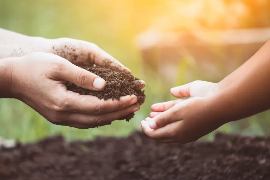 Hands holding soil with another hand reaching out, symbolizing gardening or planting in sunlight.
