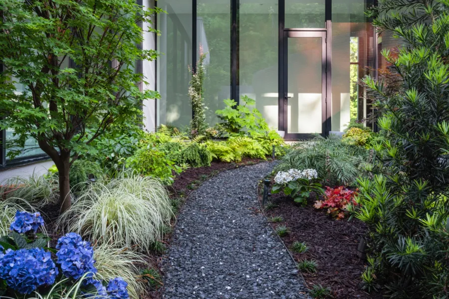 Modern glass house entrance with a curved gravel path surrounded by lush green plants and vibrant blue flowers.