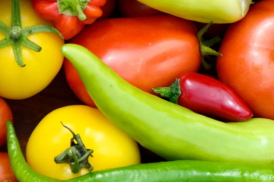 Colorful fresh tomatoes and assorted chili peppers in red, yellow, green, and orange hues close up.