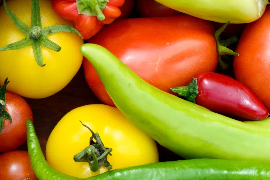 Close-up of fresh colorful tomatoes and chili peppers including yellow, red, and green varieties.