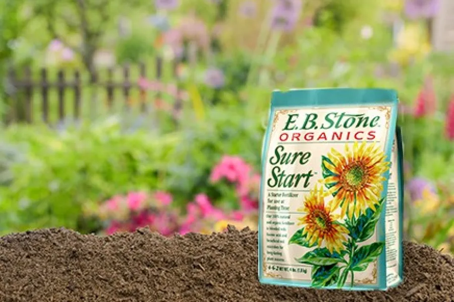 E.B. Stone Organics Sure Start fertilizer bag on soil with blurred colorful garden flowers in background