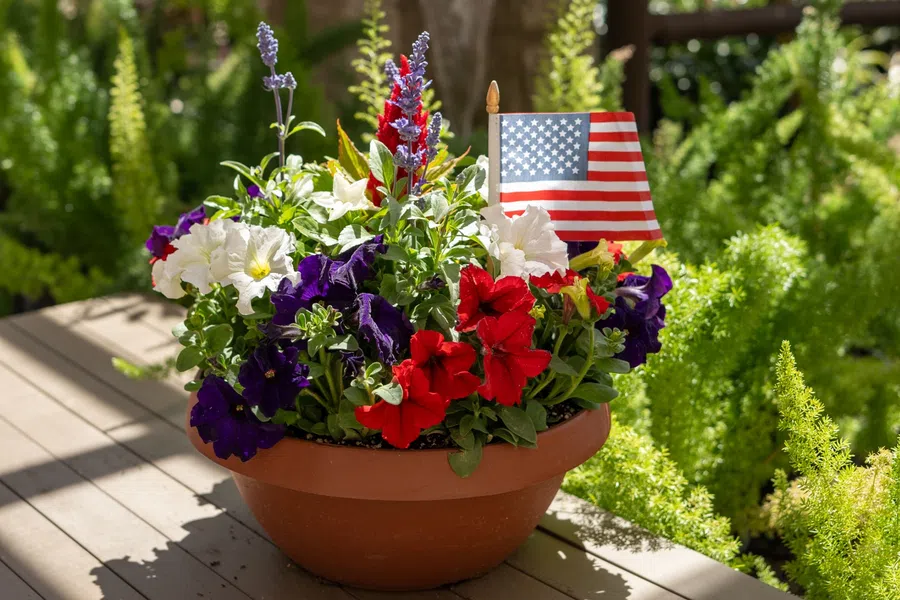Terracotta pot with red, white, and purple flowers and a small American flag on a wooden table outdoors.