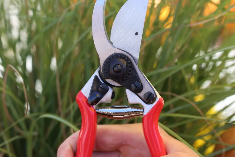 Hand holding garden pruning shears with red handles against a background of green plants and sunlight.