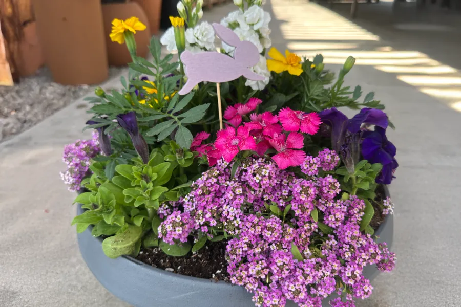 Colorful mixed flower arrangement in a round gray pot with a decorative purple bunny stake outdoors.