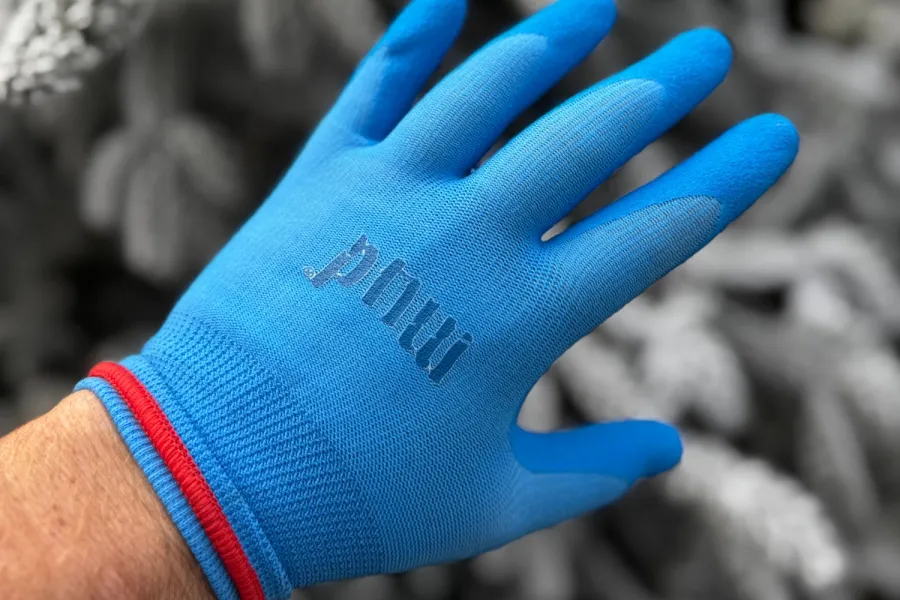 Hand wearing bright blue knit glove with red and blue wristbands against blurred gray foliage background.
